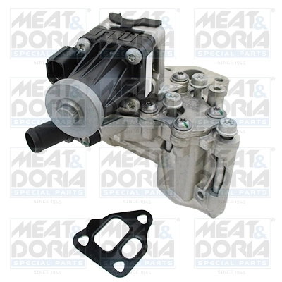 EGR Module